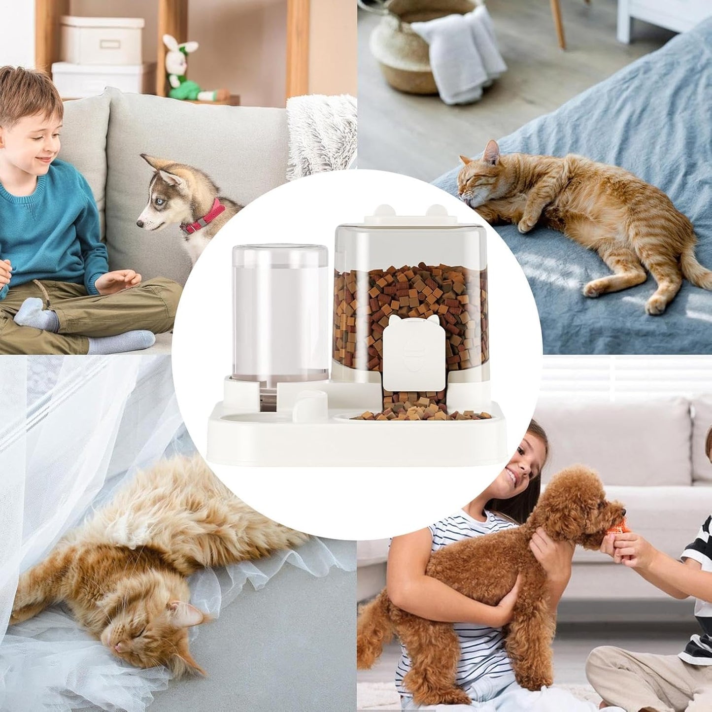 Fresh Hydrations for Dogs & Cats