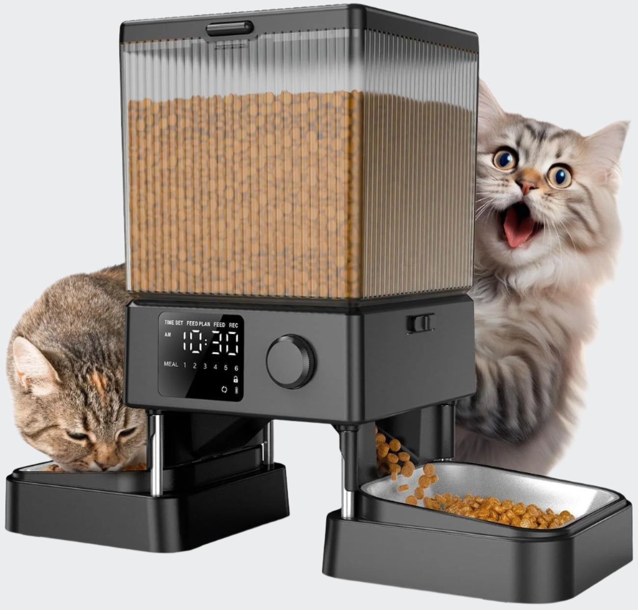 Smart Food Dispenser for Healthy & Timely Feeding