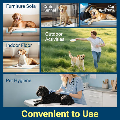 Super Absorbent & Odor Control