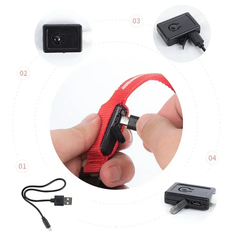 Safe & Visible Nighttime Pet Collar