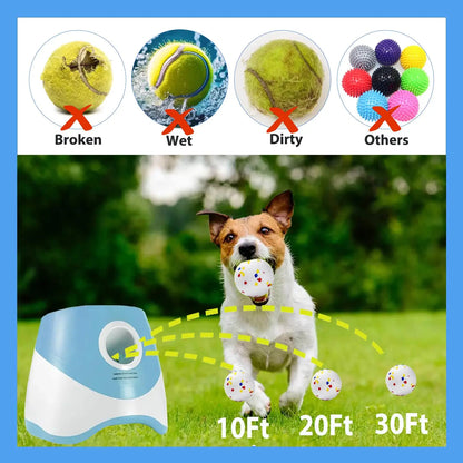 Smart Fetch Toy for Active Pets