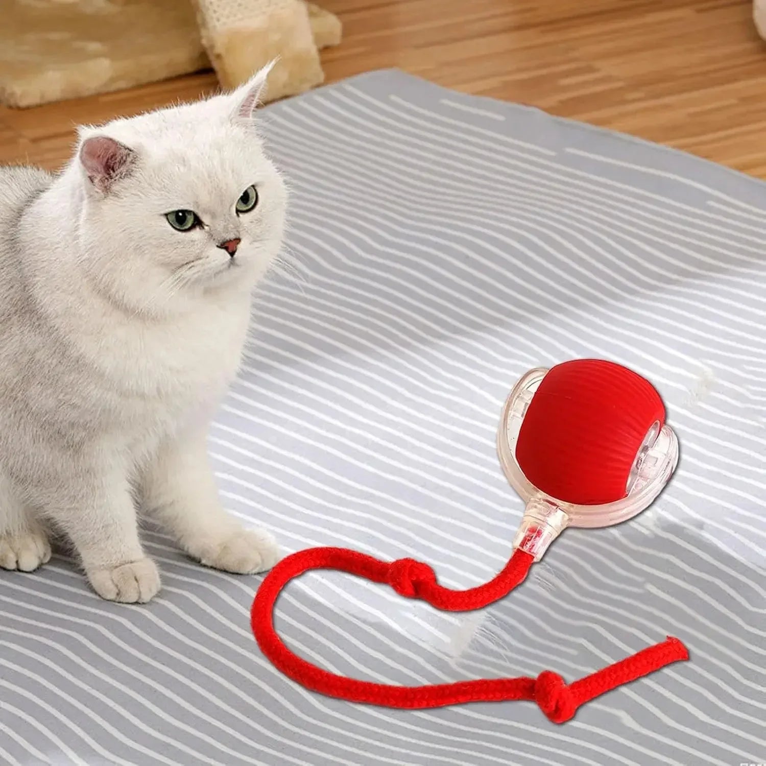 Interactive Motion Toy for Active Cats