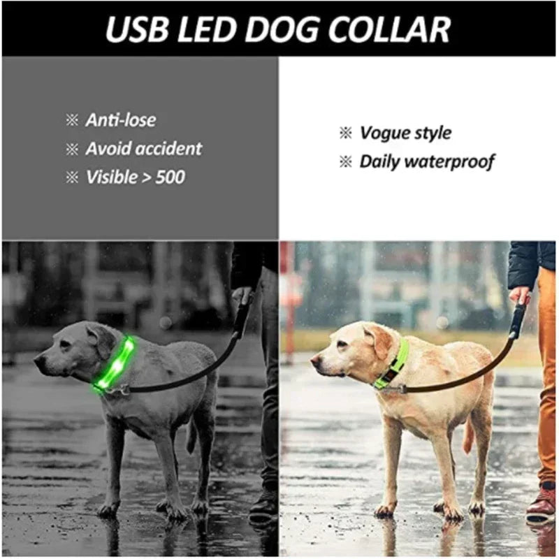 Safe & Visible Nighttime Pet Collar