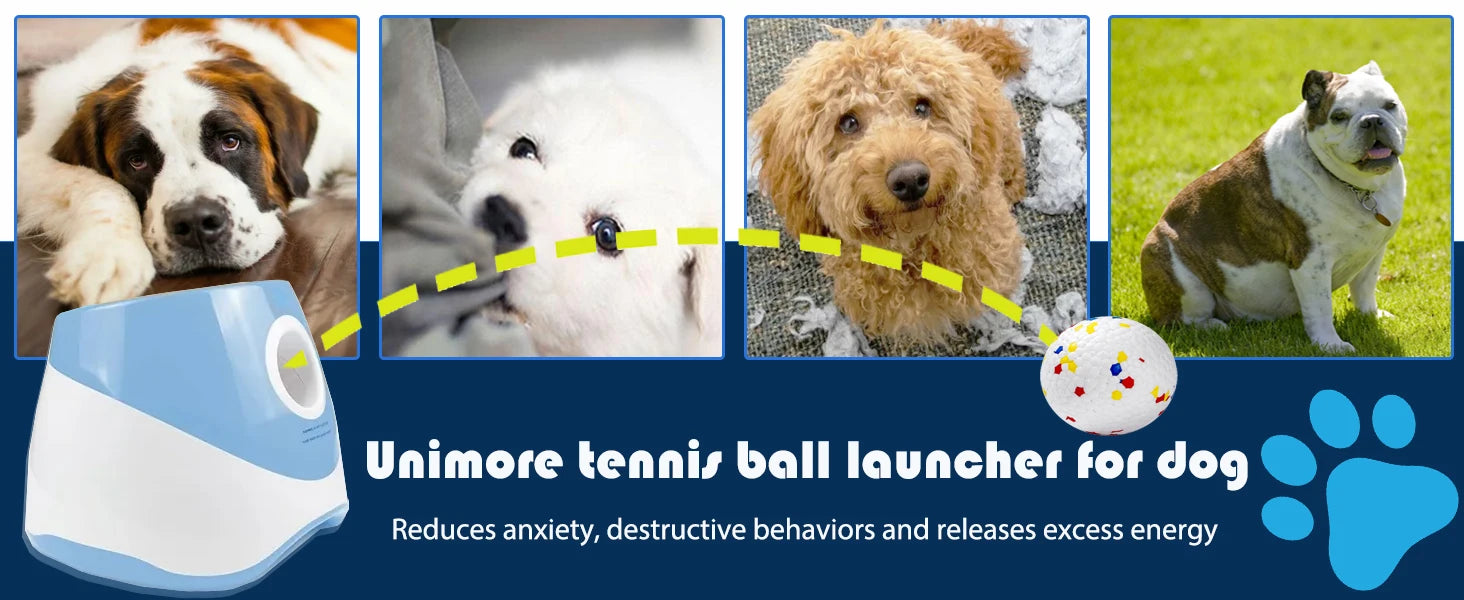 Smart Fetch Toy for Active Pets