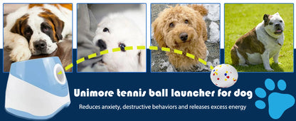 Smart Fetch Toy for Active Pets