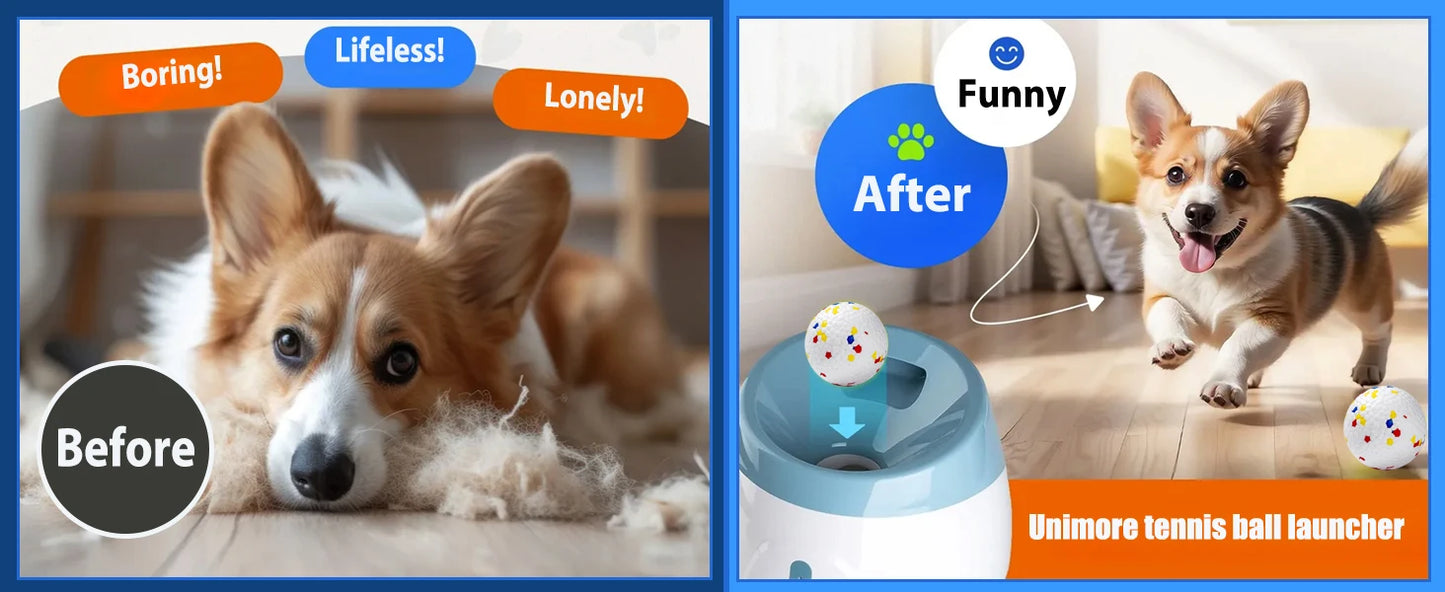 Smart Fetch Toy for Active Pets