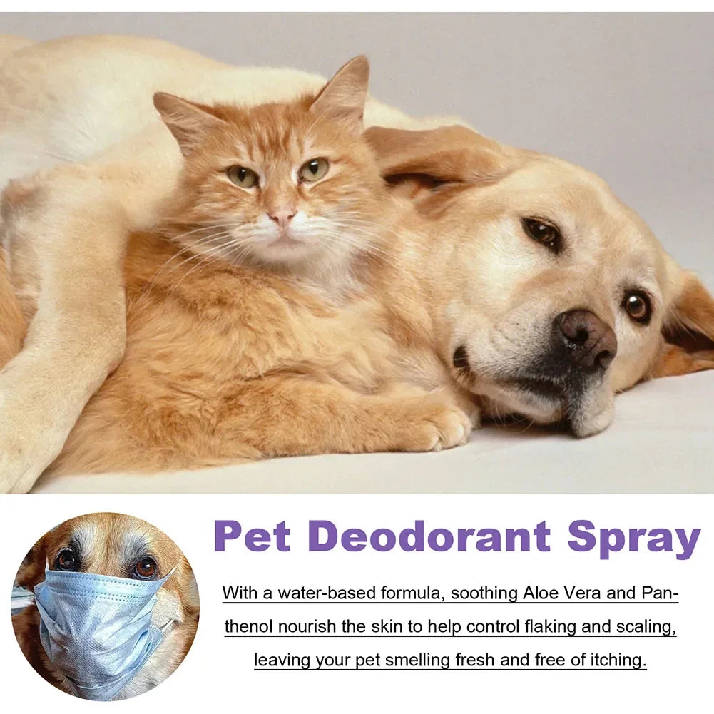 Long-Lasting Odor Control for Dogs & Cats