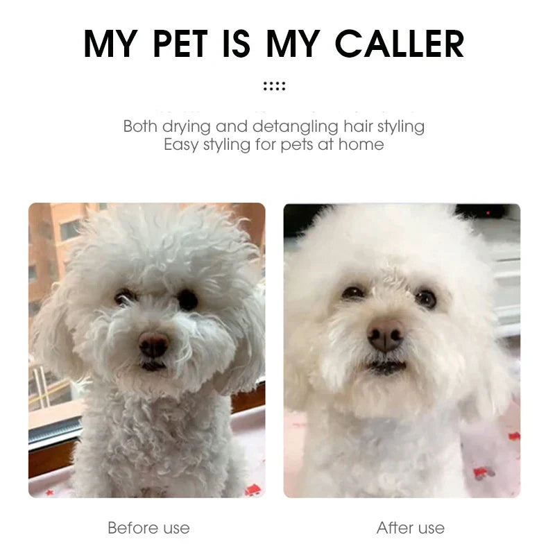 Fast-Drying Quiet & Safe Grooming Tool for Pets