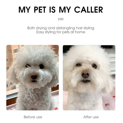 Fast-Drying Quiet & Safe Grooming Tool for Pets