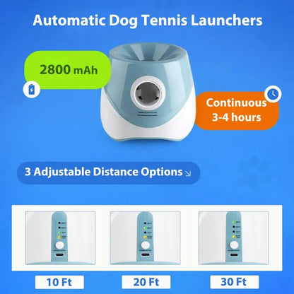 Smart Fetch Toy for Active Pets