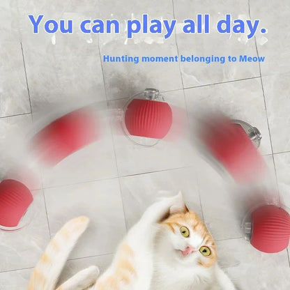 Interactive Motion Toy for Active Cats