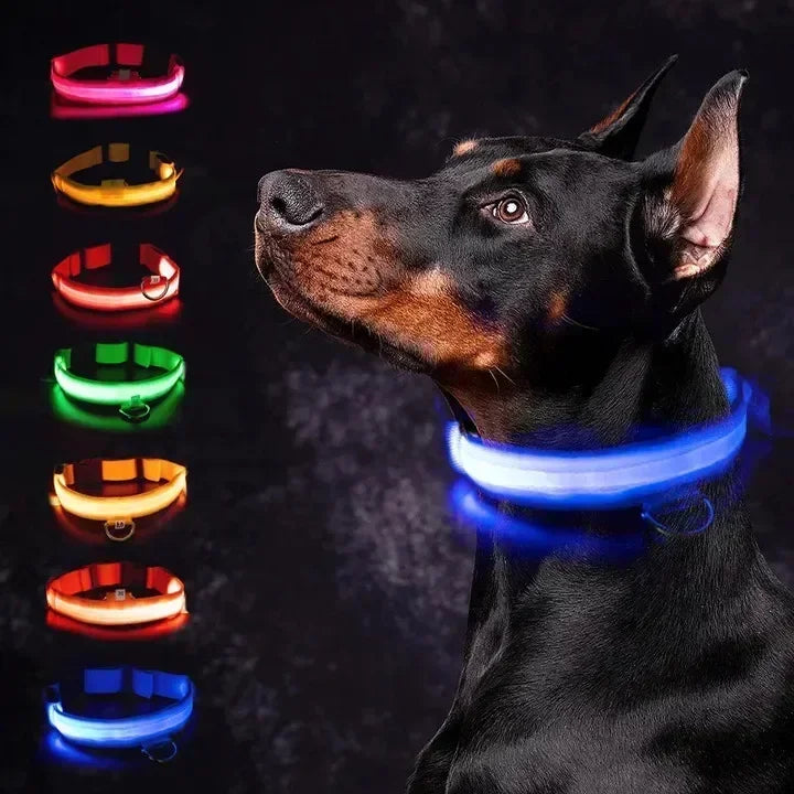 Safe & Visible Nighttime Pet Collar
