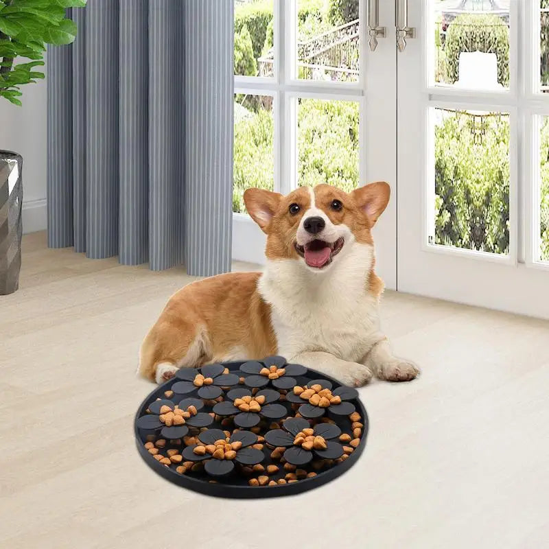 Healthy Eating Bowl for Dogs & Cats