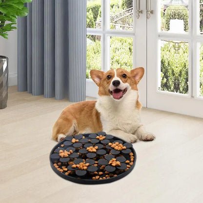 Healthy Eating Bowl for Dogs & Cats