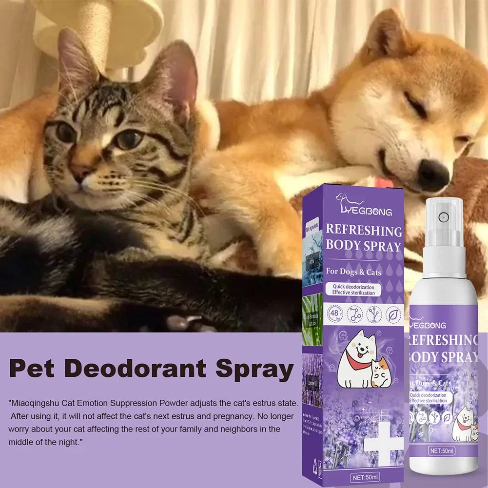 Long-Lasting Odor Control for Dogs & Cats