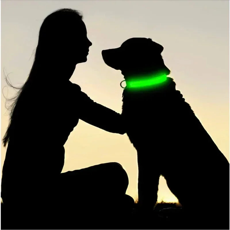 Safe & Visible Nighttime Pet Collar