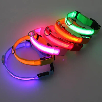 Safe & Visible Nighttime Pet Collar