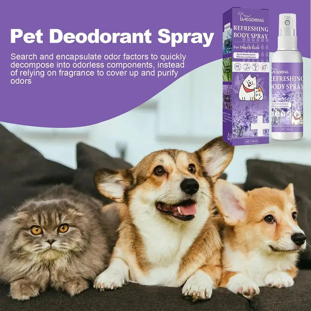Long-Lasting Odor Control for Dogs & Cats