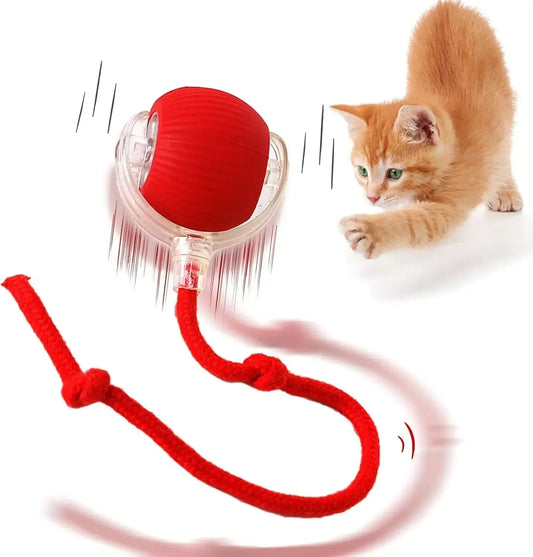 Interactive Motion Toy for Active Cats