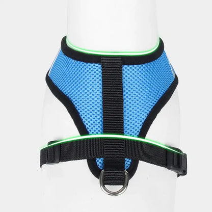 Secure & Comfortable Pet Harness