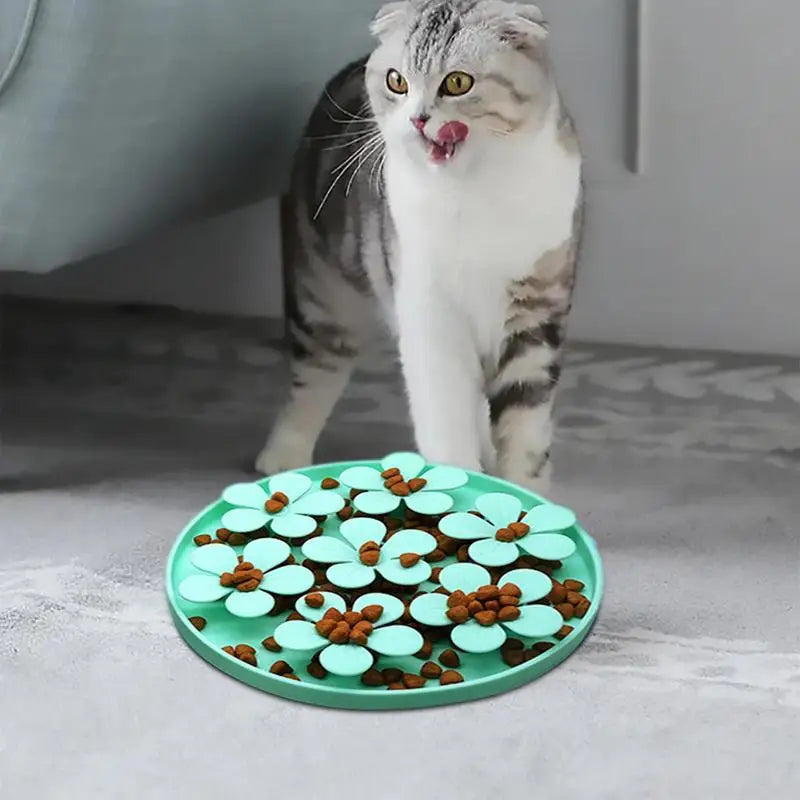 Healthy Eating Bowl for Dogs & Cats