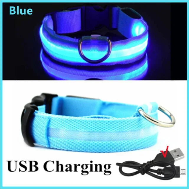 Safe & Visible Nighttime Pet Collar