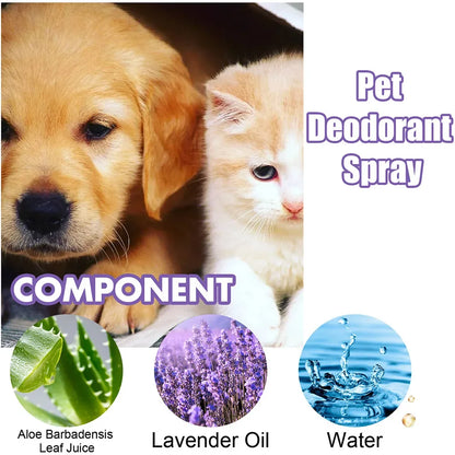 Long-Lasting Odor Control for Dogs & Cats