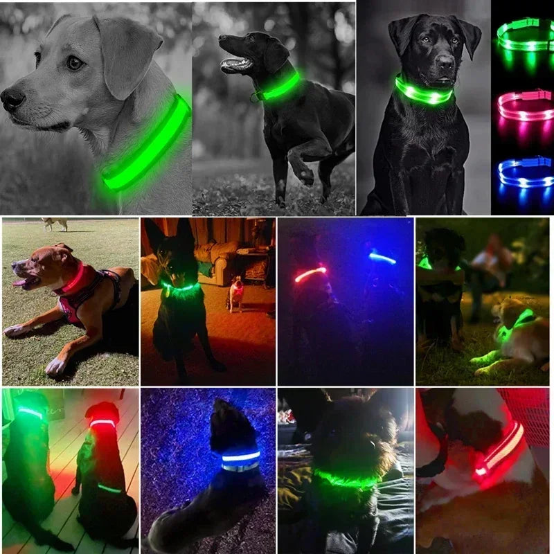 Safe & Visible Nighttime Pet Collar
