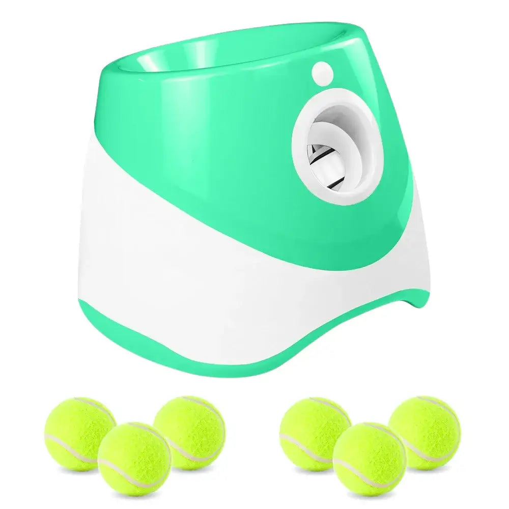Smart Fetch Toy for Active Pets
