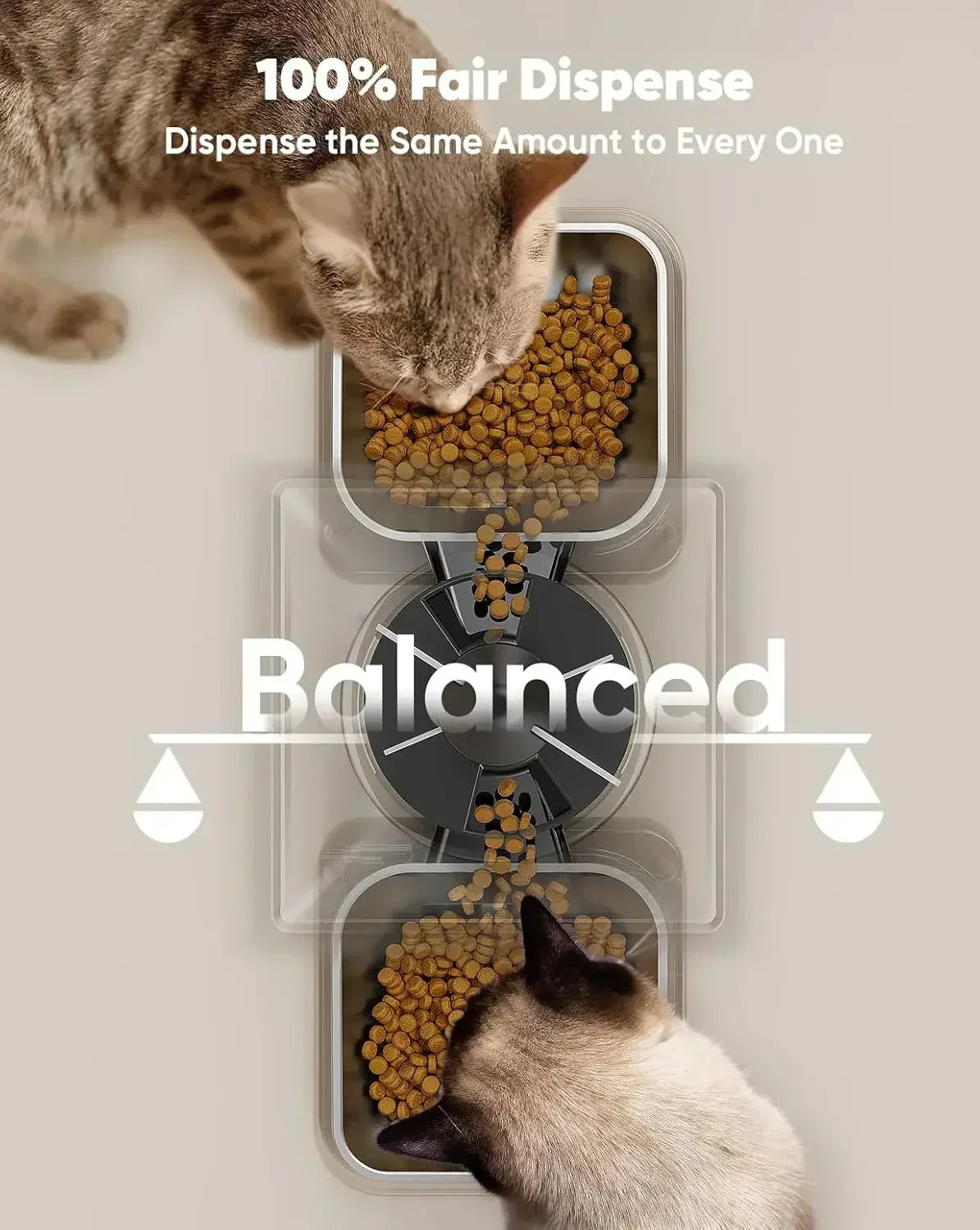 Smart Food Dispenser for Healthy & Timely Feeding