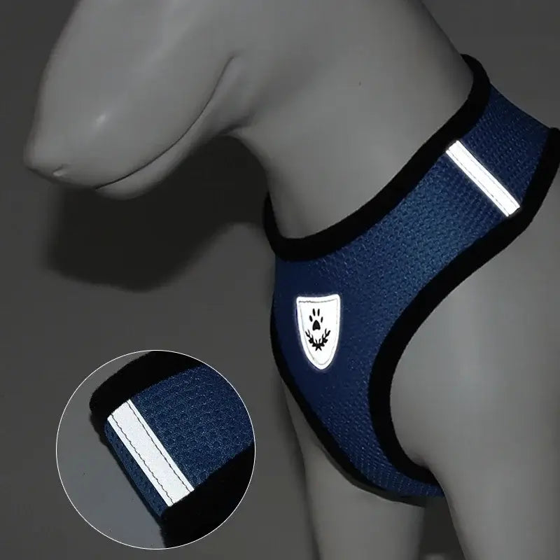 Secure & Comfortable Pet Harness