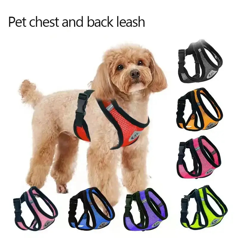 Secure & Comfortable Pet Harness