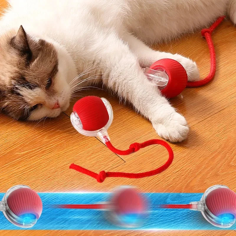 Interactive Motion Toy for Active Cats