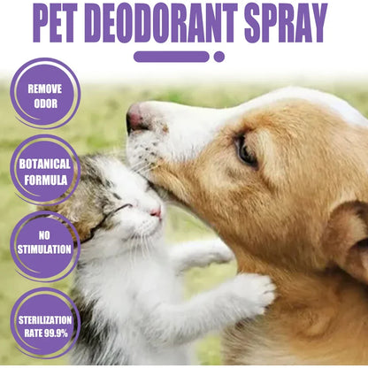 Long-Lasting Odor Control for Dogs & Cats