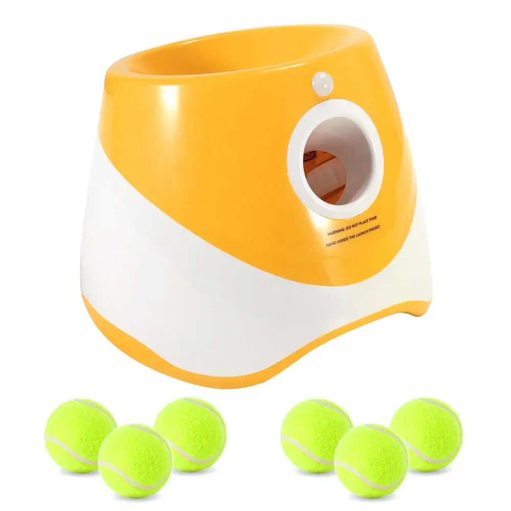 Smart Fetch Toy for Active Pets