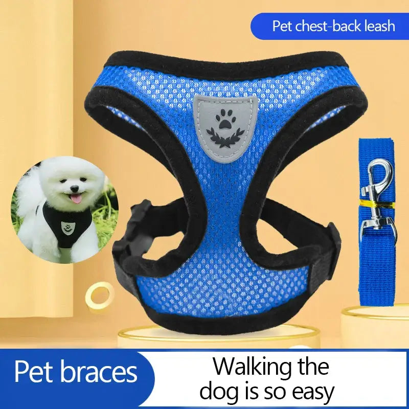 Secure & Comfortable Pet Harness