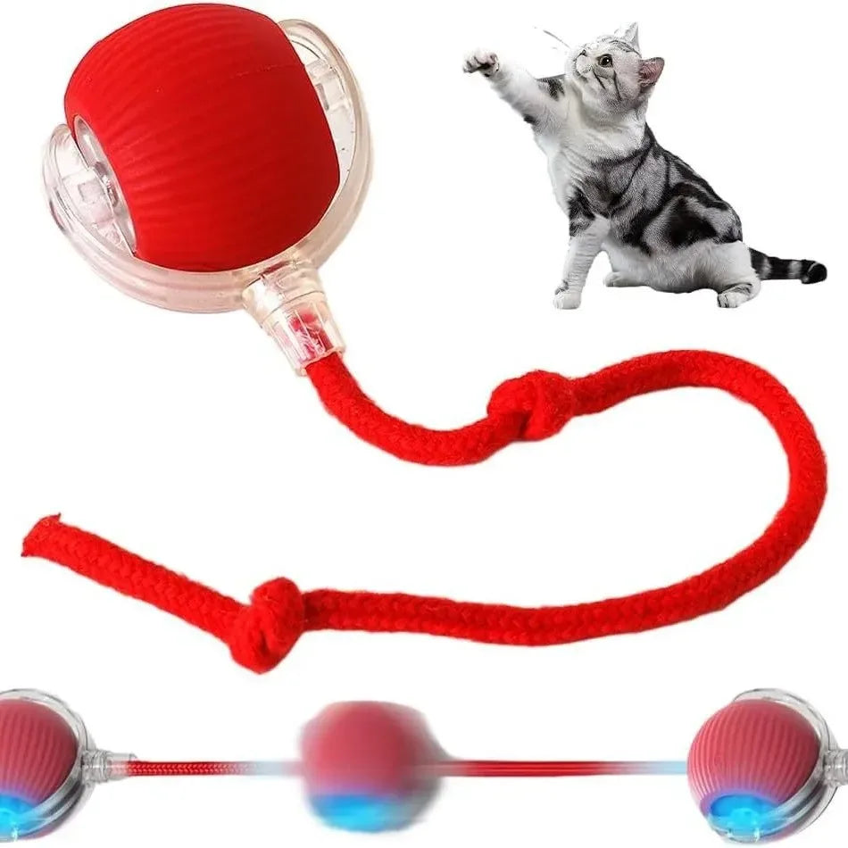 Interactive Motion Toy for Active Cats