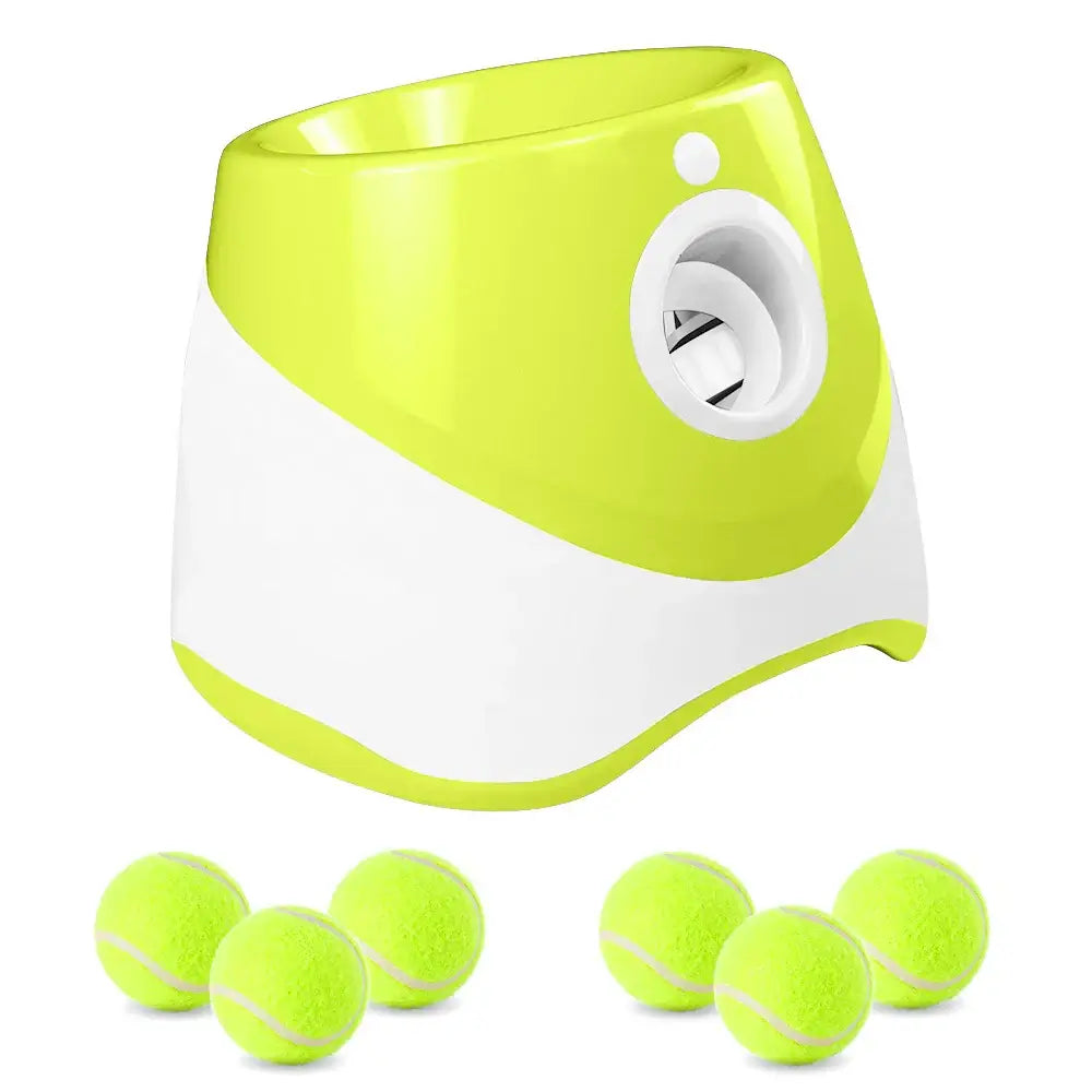Smart Fetch Toy for Active Pets
