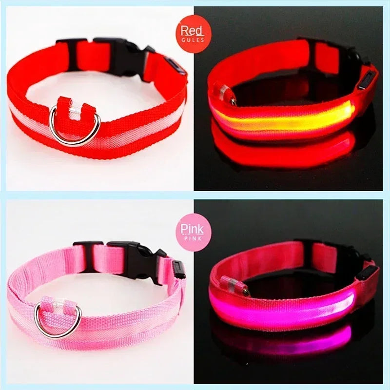 Safe & Visible Nighttime Pet Collar
