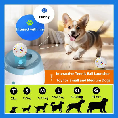 Smart Fetch Toy for Active Pets