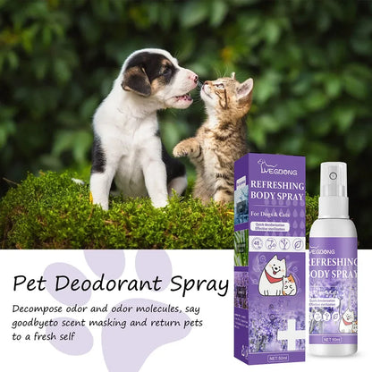 Long-Lasting Odor Control for Dogs & Cats
