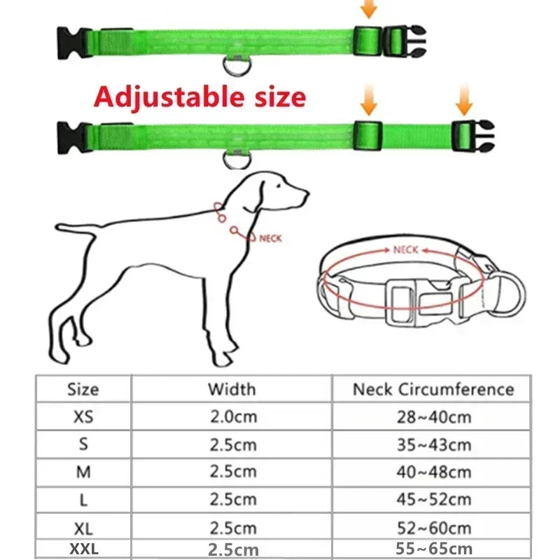 Safe & Visible Nighttime Pet Collar