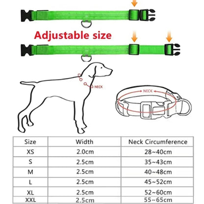 Safe & Visible Nighttime Pet Collar