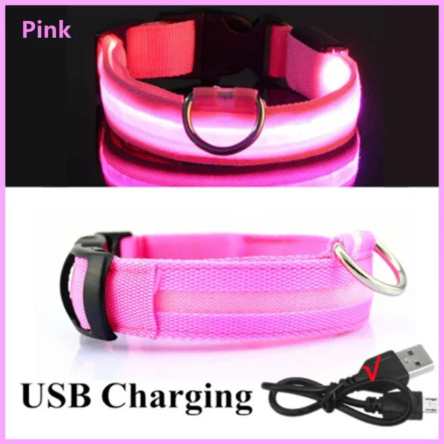 Safe & Visible Nighttime Pet Collar
