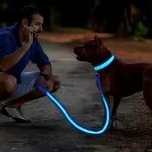 Safe & Visible Nighttime Pet Collar
