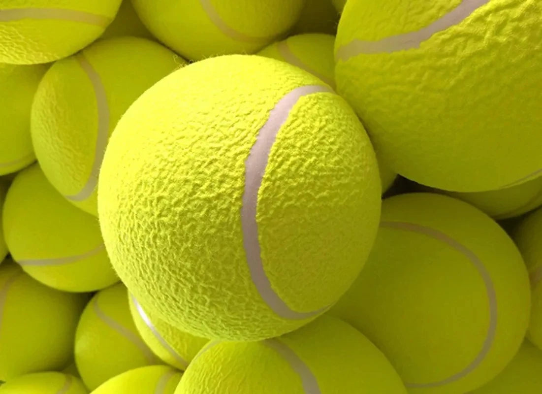 Durable Chew & Fetch Toy for Large Dogs