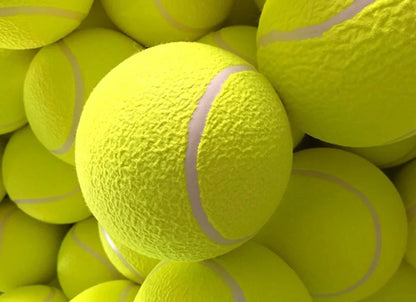 Durable Chew & Fetch Toy for Large Dogs