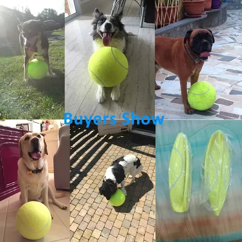 Durable Chew & Fetch Toy for Large Dogs