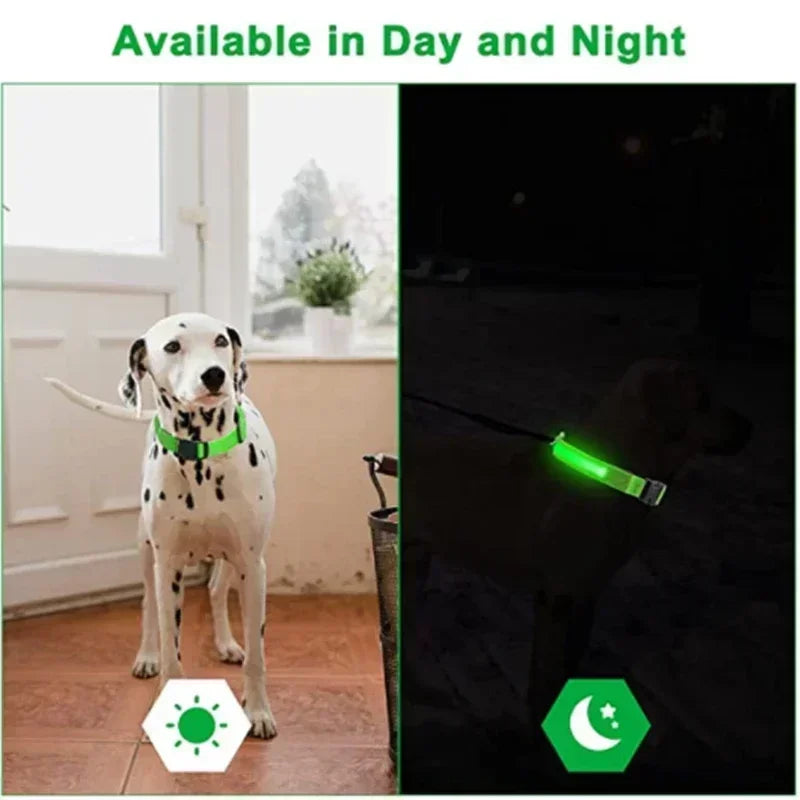 Safe & Visible Nighttime Pet Collar
