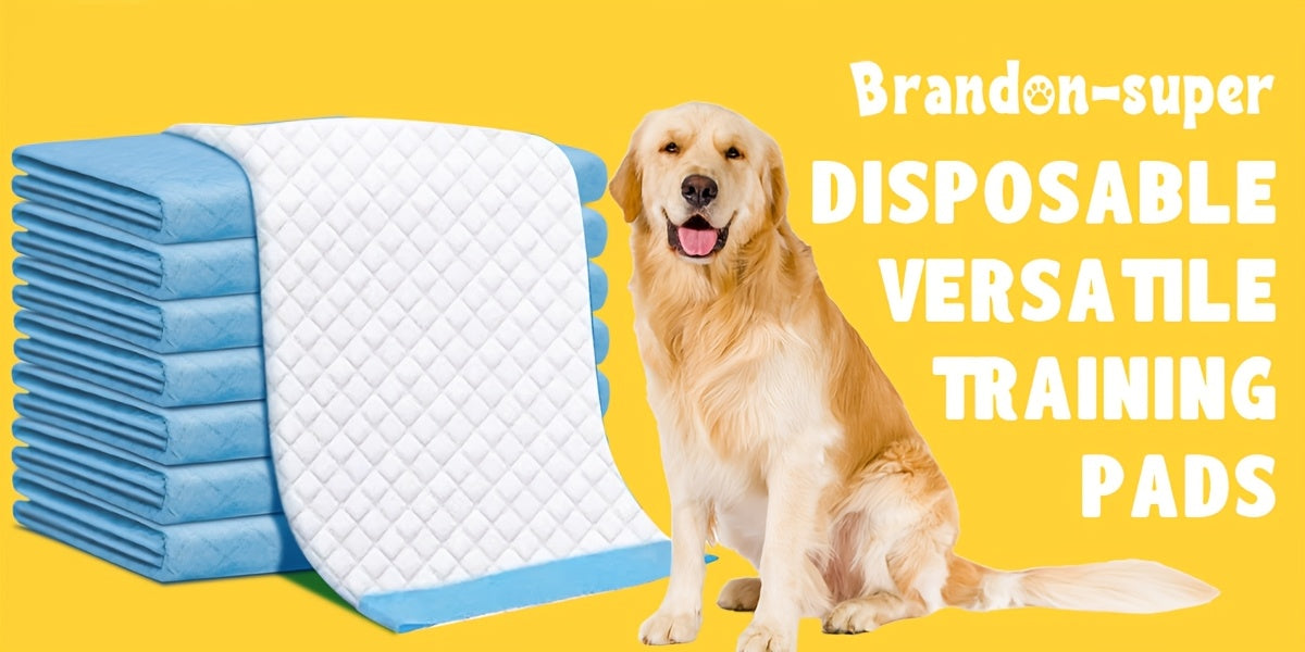 Super Absorbent & Odor Control